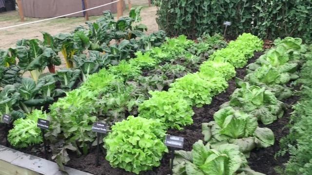 Цветочное Шоу в Челси | май 2022 | Chelsea Flower Sow смотреть онлайн