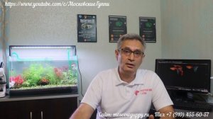 ДОМАШНИЙ АКВАРИУМ ДЛЯ ГУППИ. ЧАСТЬ 5. ПЕРВЫЕ ВОДОРОСЛИ.  НАСТРОЙКА СВЕТИЛЬНИКА CHIHIROS WRGB 2 SLIM