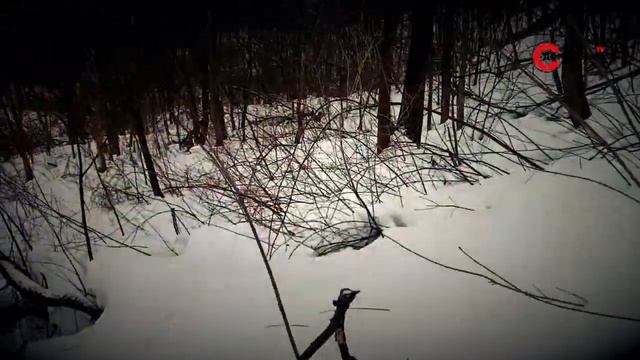 РЕКА СХОДНЯ. Экстрим. Лесные звери смотреть онлайн