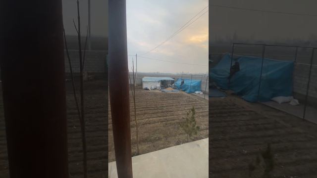 Установка видеонаблюдение 4 мпх микрофон колор ву #видеонаблюдение #домофон #сервисныйцентр смотреть онлайн
