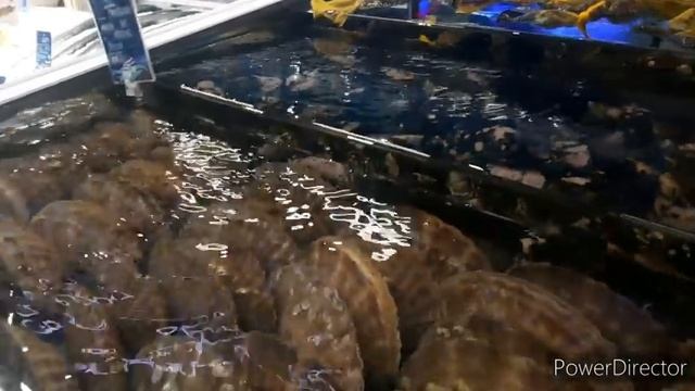 ФУД СИТИ МЕГА ОБЗОР 2.12.2021 ПЕРВАЯ И ВТОРАЯ ЧАСТЬ смотреть онлайн