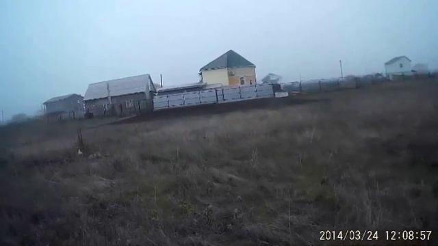 молодой пойнтер Кинг, первые работы в поле смотреть онлайн