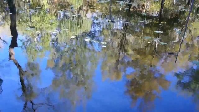 Отражение. Футаж смотреть онлайн