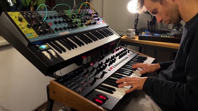 Zoning out on my Oberheim OB-6 and Moog Matriarch - Arpeggiator Shenanigans смотреть онлайн