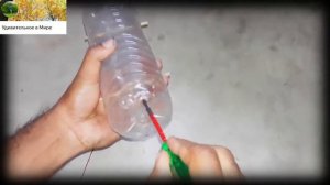 Делаем крысоловку из бутылки