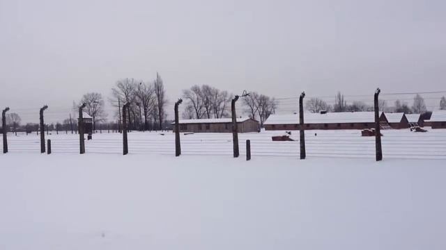 Birkenau/Бжезинка Концлагерь смотреть онлайн