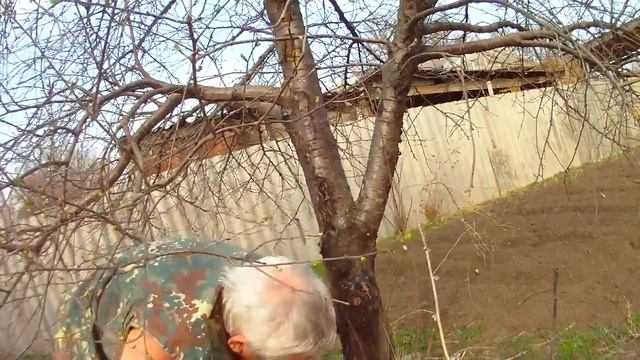 Вишнёвая смола смотреть онлайн