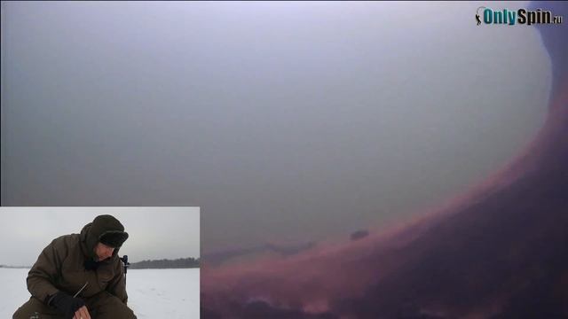 ПОДВОДНАЯ СЪЕМКА. Окунь Рузского вдхр. Рыбалка с #OnlySpin смотреть онлайн