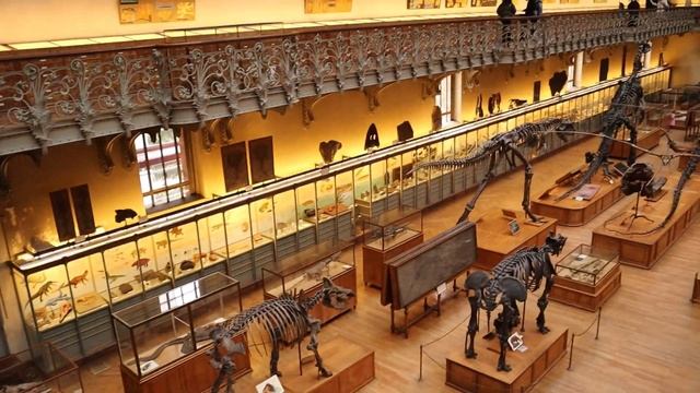 Exploring The Paris Natural History Museum!