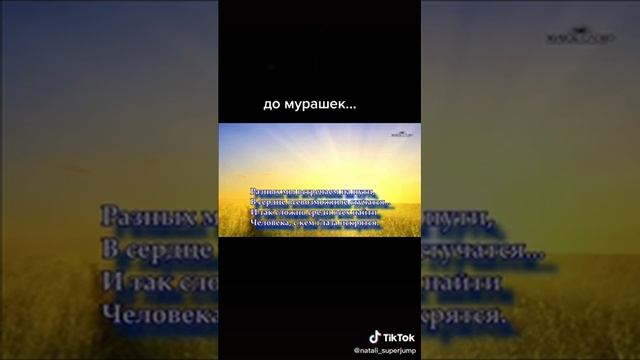 Круто! До мурашек! 24 декабря 2020 г. смотреть онлайн