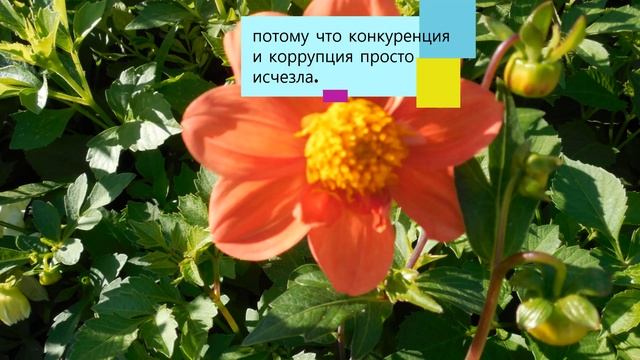 Планета Х . Рассказ. смотреть онлайн