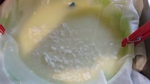 ТВОРОГ из козьего МОЛОКА/из СЫВОРОТКИ