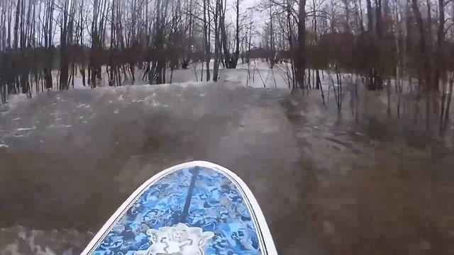 Серфер из Петербурга на видео ловил волны в затопленном лесу у Финского залива, 23 февраля смотреть онлайн