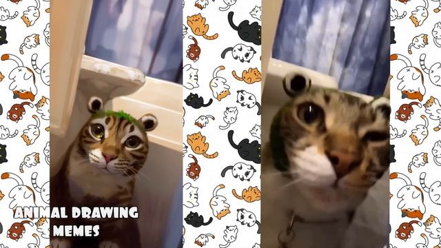 ? Drawings of Cat Memes: Funniest Animals 2023?Drawing Meme | Cool Cats | Try not to laugh Part 13 смотреть онлайн