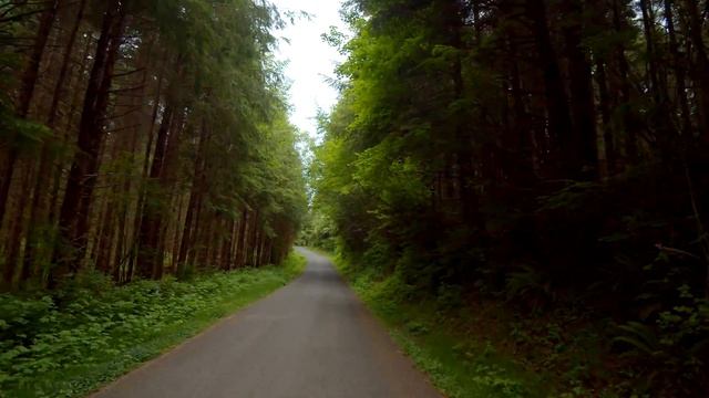 Scenic Drive ROAD 101 [4K 10 Bit] - Coastal Road, Olympic National Park, Washington State
