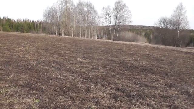 коп с xp deus,майский выезд. смотреть онлайн