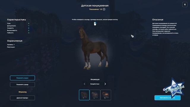 Покупаем Голландскую и Датскую полукровные 1,5 поколения |Star Stable Online| смотреть онлайн