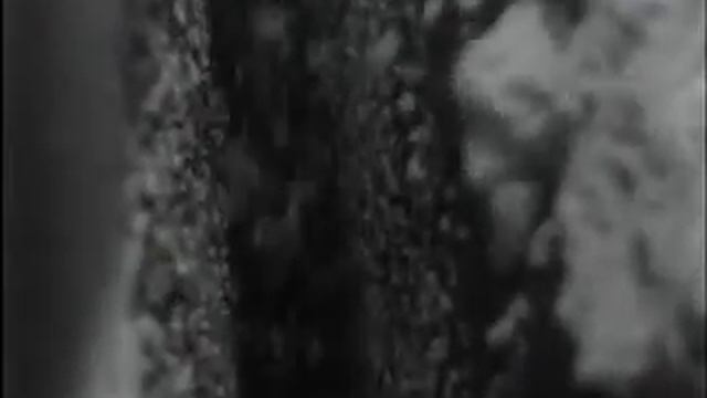 Производство белой древесной массы (2 часть) смотреть онлайн