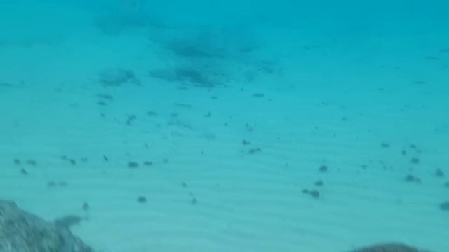 ИЗРАИЛЬ. ХАЙФА. Пляж, мы все еще купаемся. Вечерняя прогулка по Нижнему городу смотреть онлайн