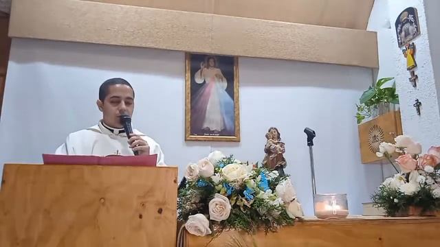 Santa Misa. San Carlos Borromeo смотреть онлайн