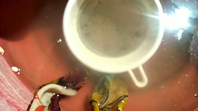 #Howtobreedmoinaculture How to breed Moina culture in Fast Method | Tamil смотреть онлайн