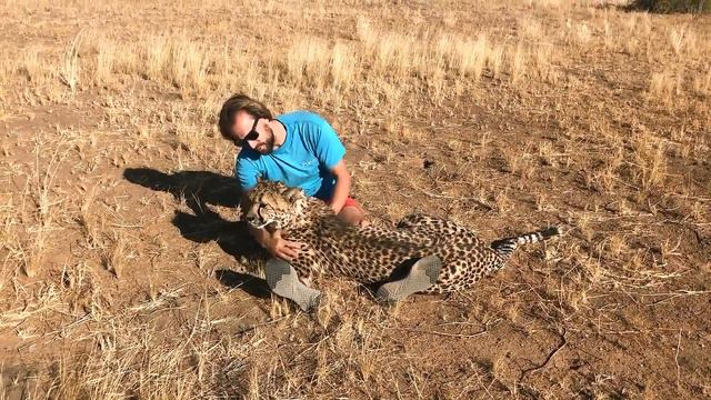 Найти общий язык смотреть онлайн