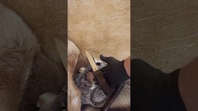 Якутский нож Х12Мф смотреть онлайн