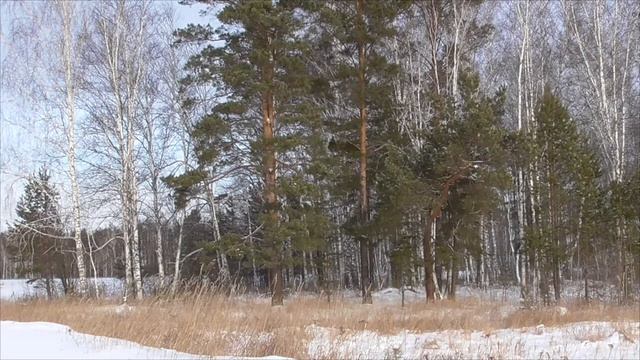 Божественное усиление иммунной системы Для женщин смотреть онлайн