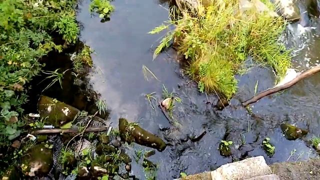 Северная Карелия. Кемь.North Karelia. Kem.