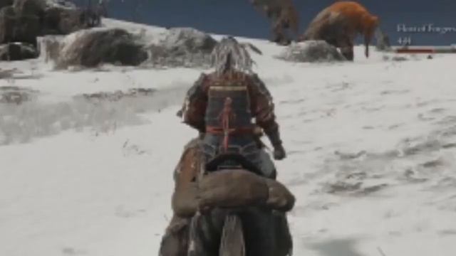 Elden Ring seamless co op in a nutshell смотреть онлайн