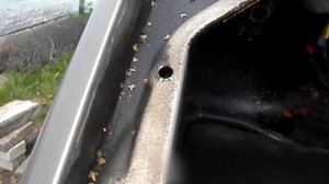 Не работает звуковой сигнал Соболь Бизнес