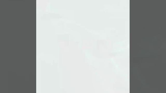 Топ 10 самых добрых собак.