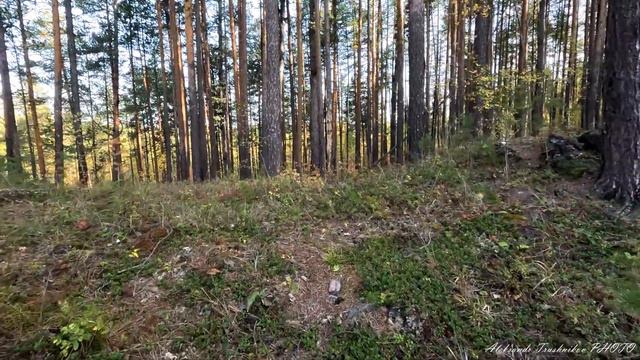 Осенняя Усть Калья. Часть 1. Скалы по реке Калья