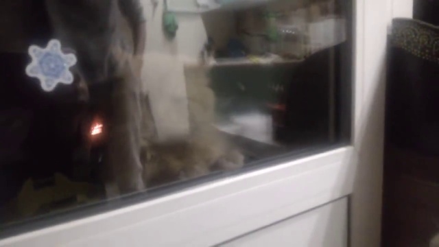 Открой мне!! смотреть онлайн