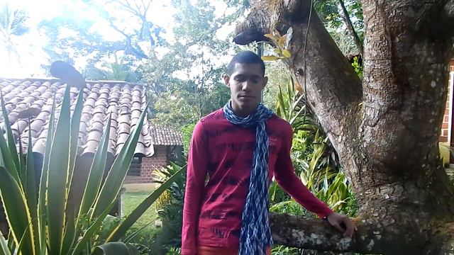 Não era pra gostar de mim (Ronald Gomes) Cover смотреть онлайн