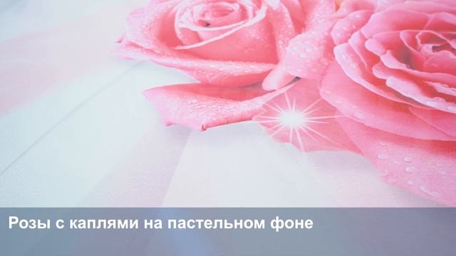 3D Фотообои «Розы с каплями на пастельном фоне» смотреть онлайн