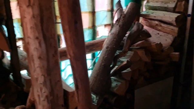 О том, как потепление влияет на животных и квест с костями смотреть онлайн