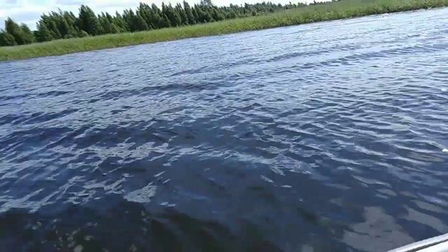 Поймала большого окуня смотреть онлайн