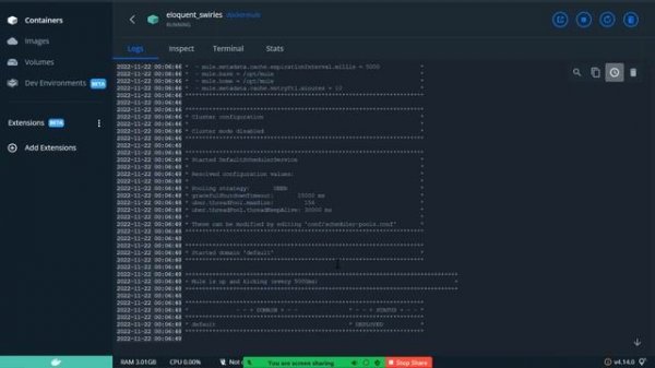Deploy Mule Application on Docker from Anypoint Platform