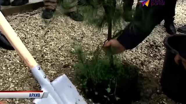 В Сочи должно увеличиться количество парков и зеленых зон смотреть онлайн