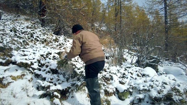Как мы собираем травы для Эликсира Жизни смотреть онлайн