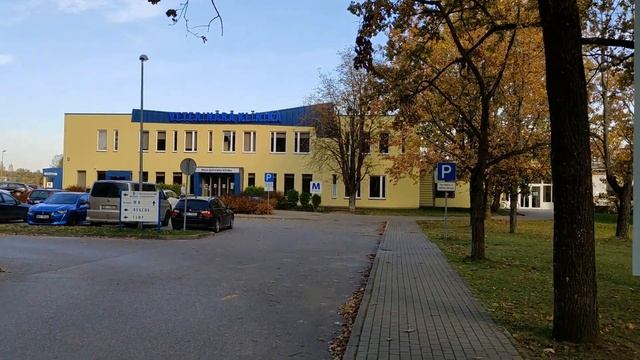 Елгава сегодня 7 октября 2021 . Университетская ветеринарная клиника в нашем городе . смотреть онлайн