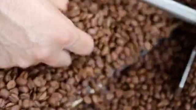 Все Что Тебе Нужно Знать о Кофе смотреть онлайн