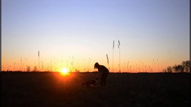 Border collie Tellur (Endeva Become Star) 1 year | tricks , frisbee смотреть онлайн