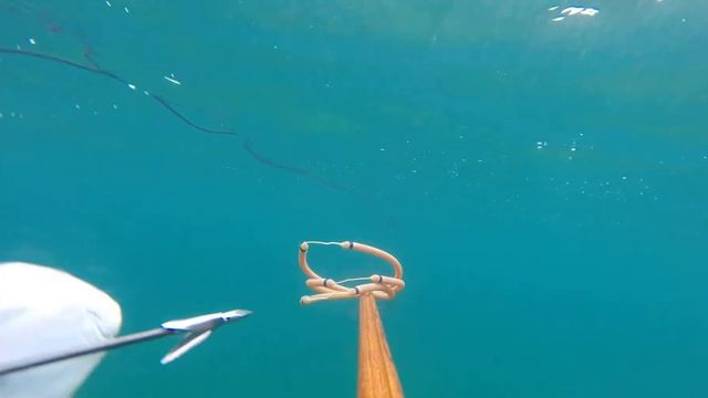 ПОДВОДНАЯ ОХОТА В НОРВЕГИИ!!!! ПАЛТУС!!! SPEARFISHING NORWAYhttp://wild-fishing-norway.ru/ смотреть онлайн