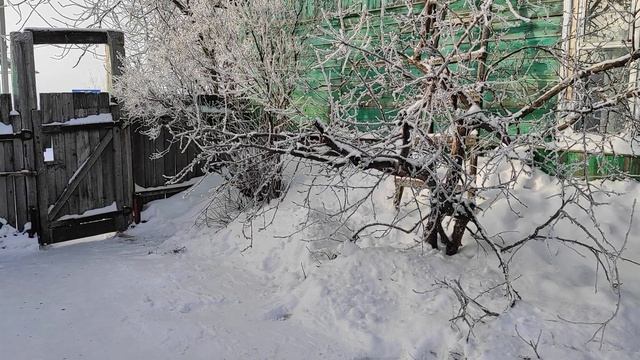 В ДЕРЕВНЕ ОЧЕНЬ КРАСИВО! ?/ВКУСНАЯ РЫБА ?/ПЛАТЬЕ ?НА НОВЫЙ ГОД смотреть онлайн