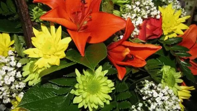 Лучшие подруги Ксюше смотреть онлайн