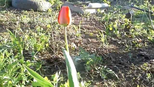 20140509 192849 смотреть онлайн