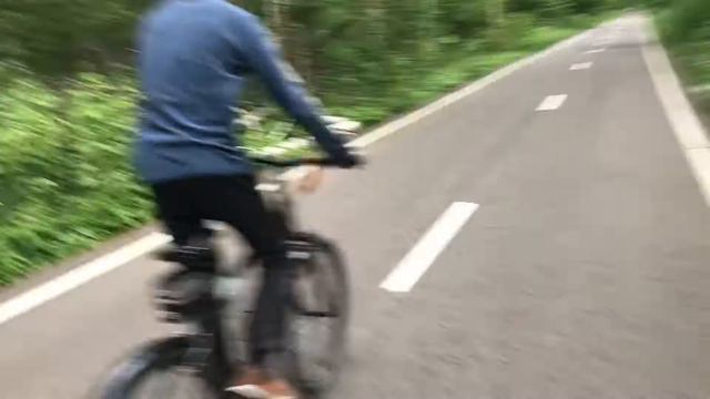 Выставка "Мяч в искусстве", прогулка в лосином острове, ЧМ 2018 смотреть онлайн