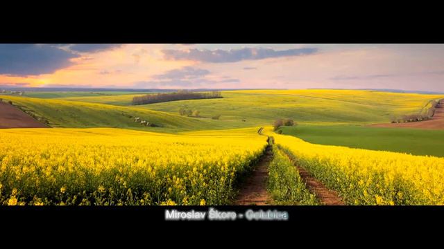 Miroslav Škoro - Golubica смотреть онлайн